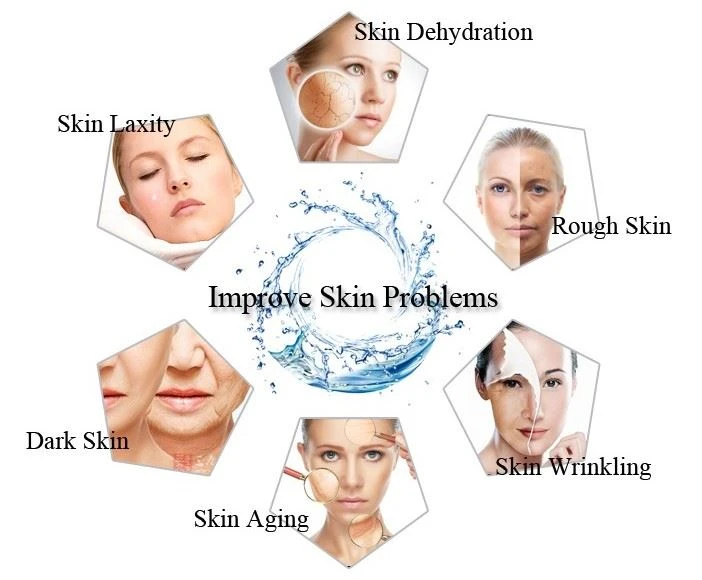 Application of Skimmed Almond Protein Powder