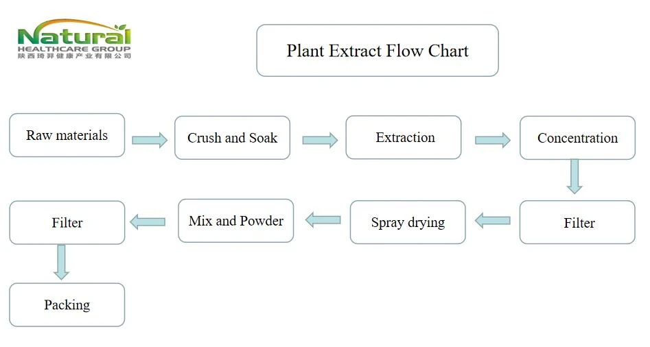 folw chart folw chart