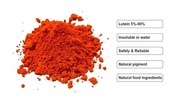 Lutein Powder Bulk