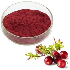 Cranberry Anthocyanin Powder