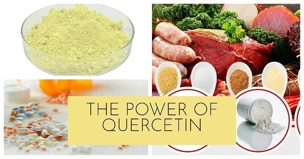 Quercetin 98 application Quercetin 98 application