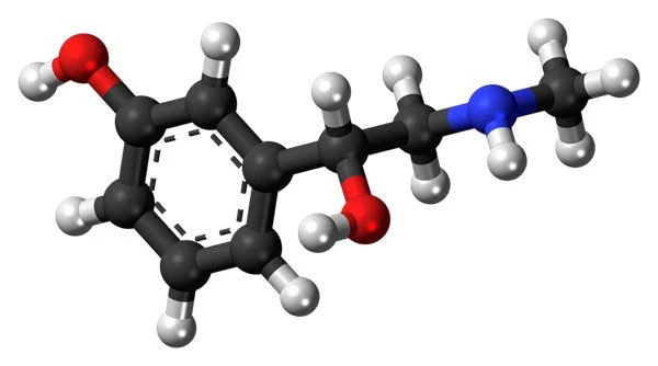L-effetti farmakoloġiċi u l-effetti sekondarji ta' synephrine