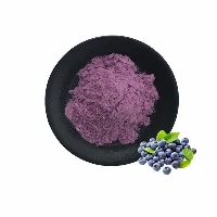 Trab tal-Blueberry Pur
