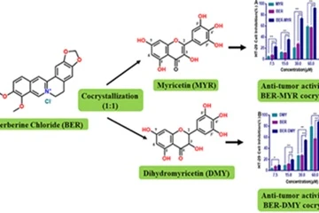 Għal xiex jintuża t-trab tal-berberine hydrochloride?